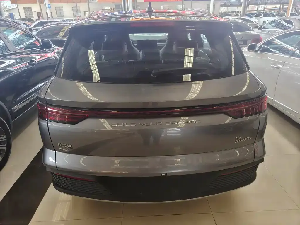 BYD Pro New Energy — фото 4