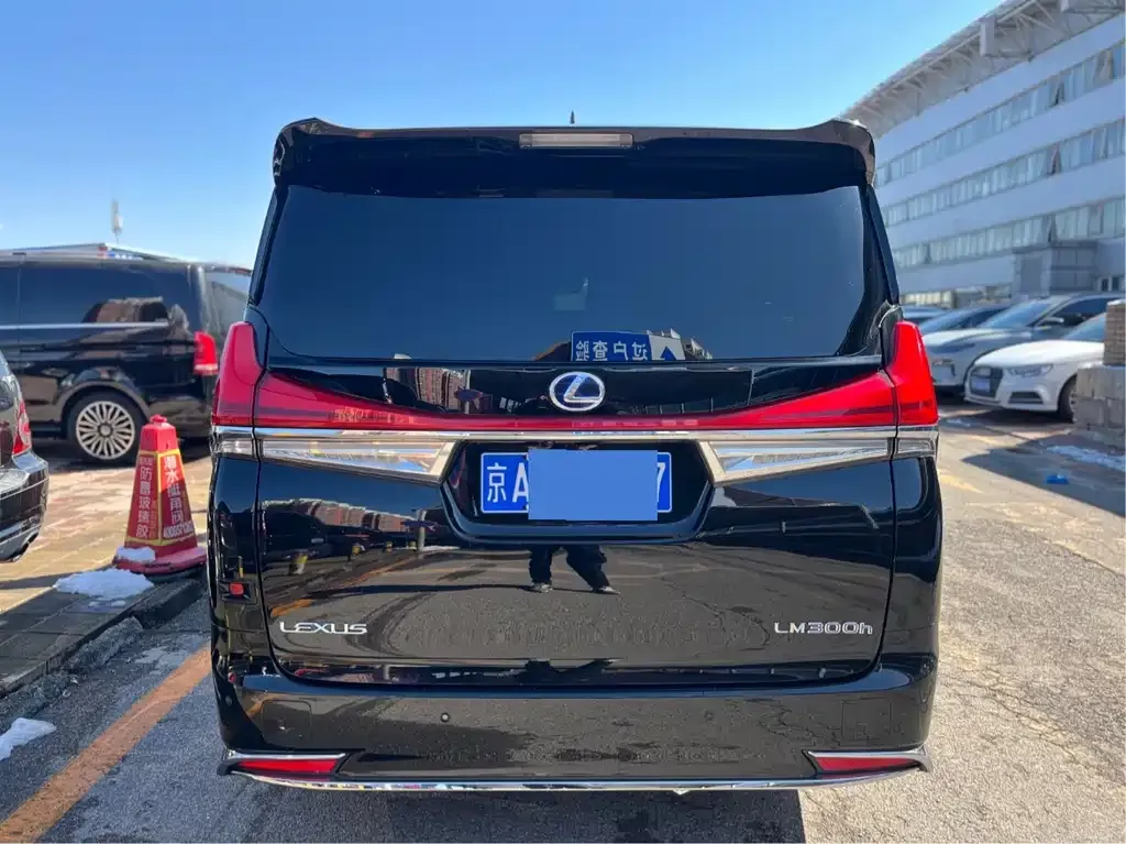 Lexus LM 2021 из CN, фото 4