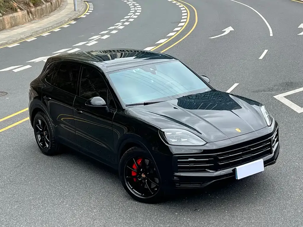 Porsche Cayenne — фото 10