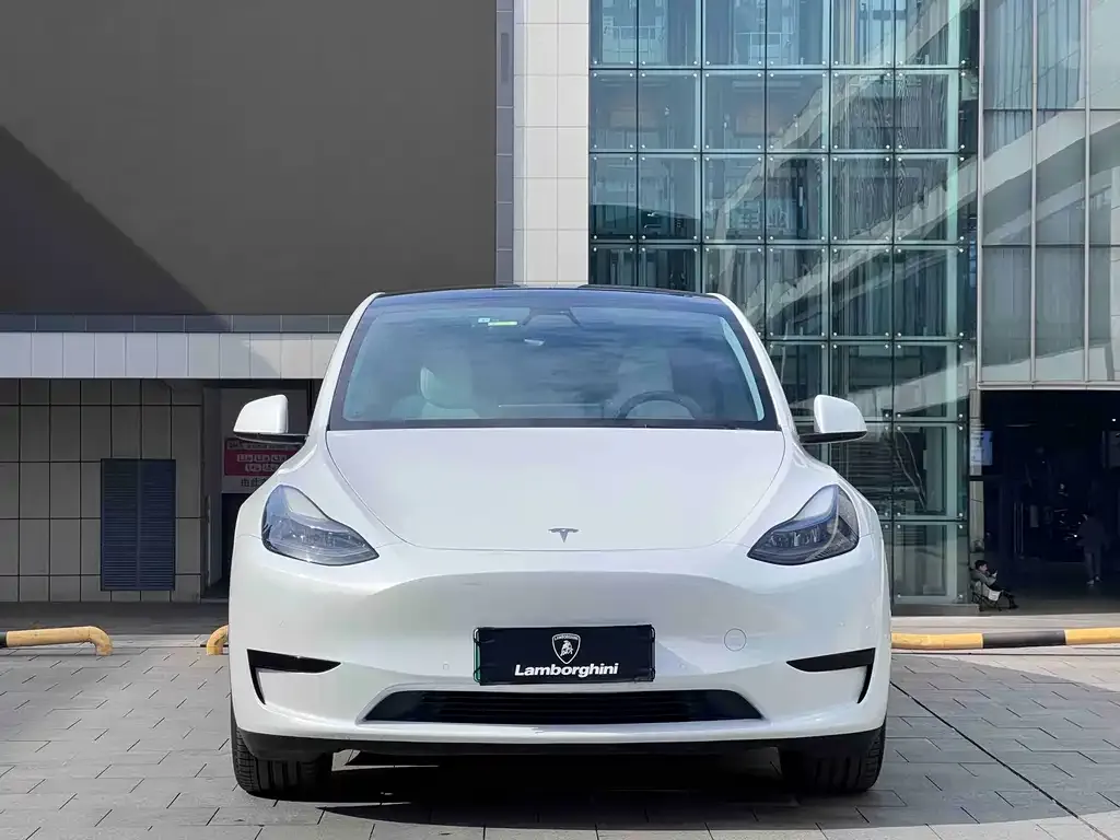 Tesla Model Y — фото 7