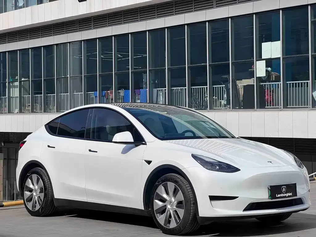 Tesla Model Y — фото 6