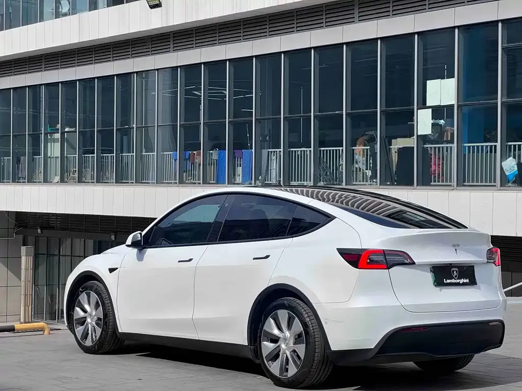Tesla Model Y — фото 10