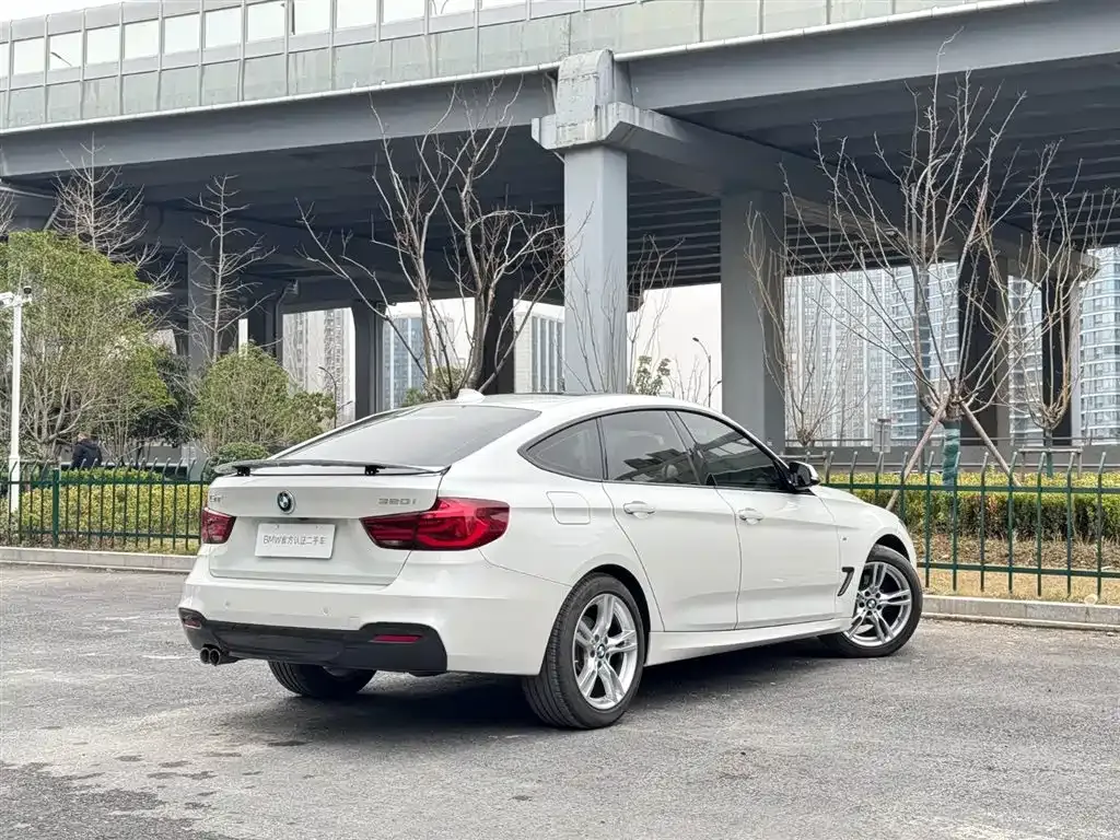 BMW 3 Series GT 2021 из CN, фото 9