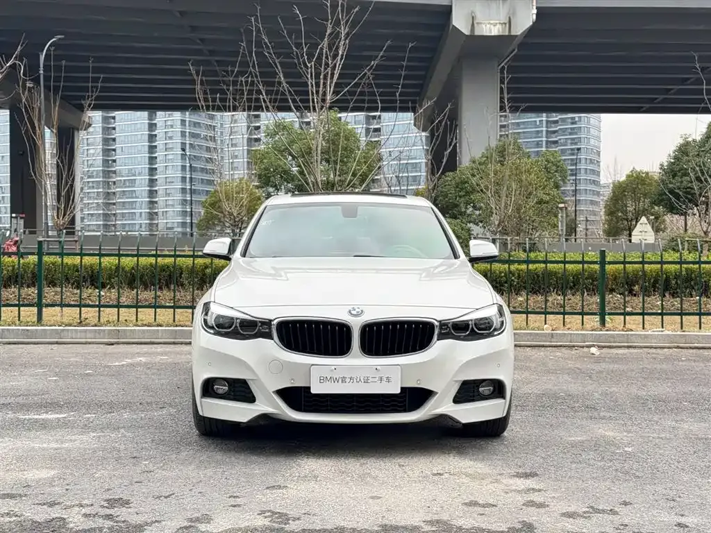 BMW 3 Series GT 2021 из CN, фото 4