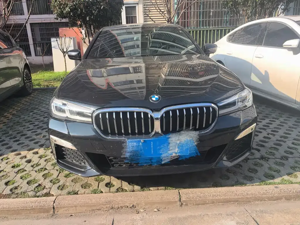 BMW 5 Series 2022 из CN, фото 9