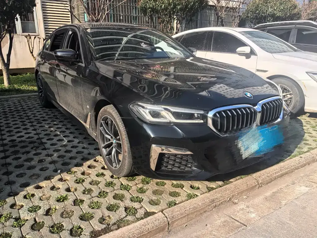 BMW 5 Series 2022 из CN, фото 5