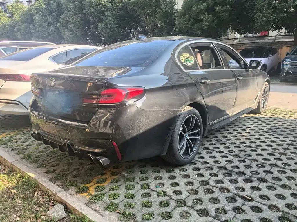 BMW 5 Series 2022 из CN, фото 6