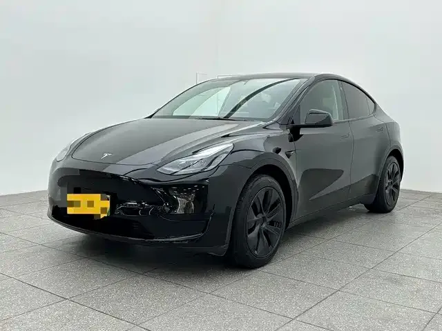 Tesla Model Y 2024 из CN, фото 1