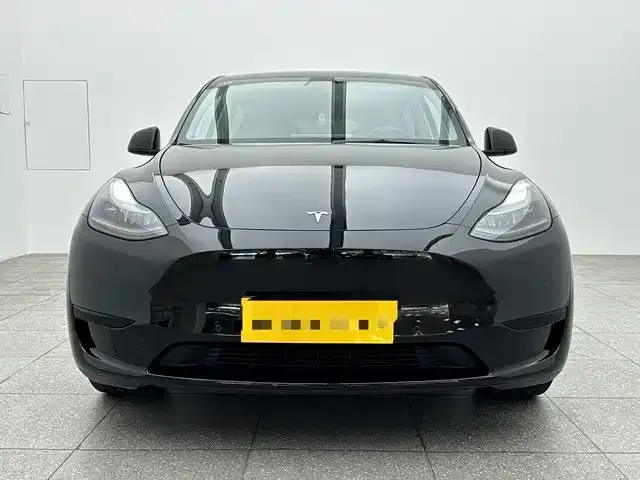 Tesla Model Y 2024 из CN, фото 3