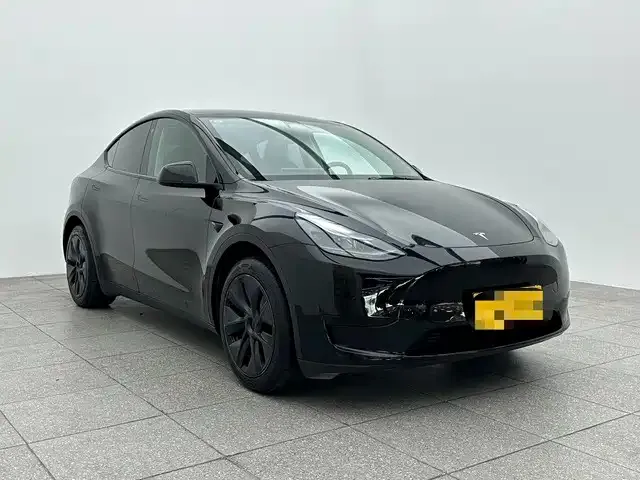 Tesla Model Y 2024 из CN, фото 2