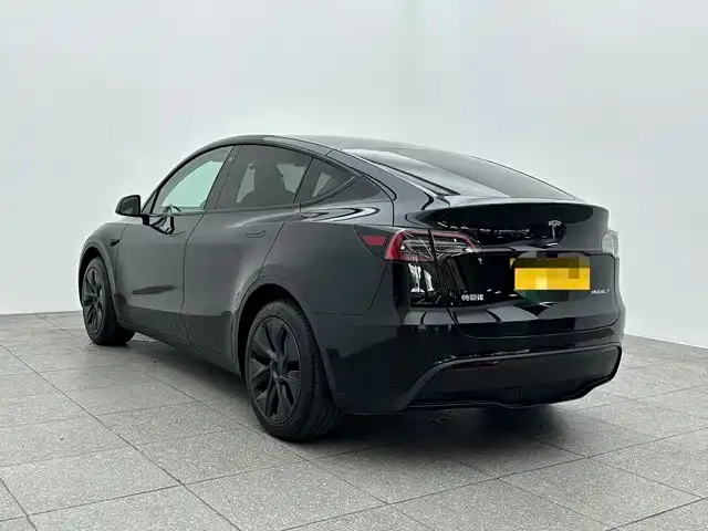 Tesla Model Y 2024 из CN, фото 5