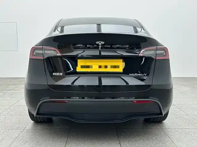 Tesla Model Y 2024 из CN, фото 8