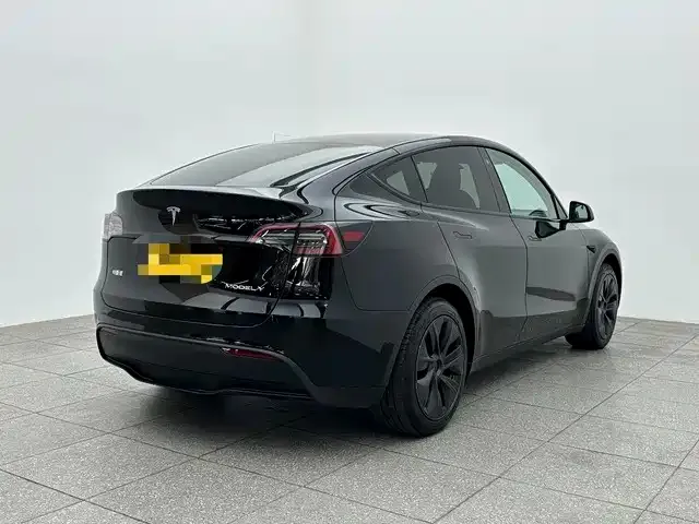 Tesla Model Y 2024 из CN, фото 7