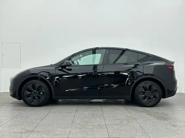 Tesla Model Y 2024 из CN, фото 4