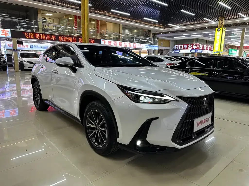 Lexus NX — фото 10
