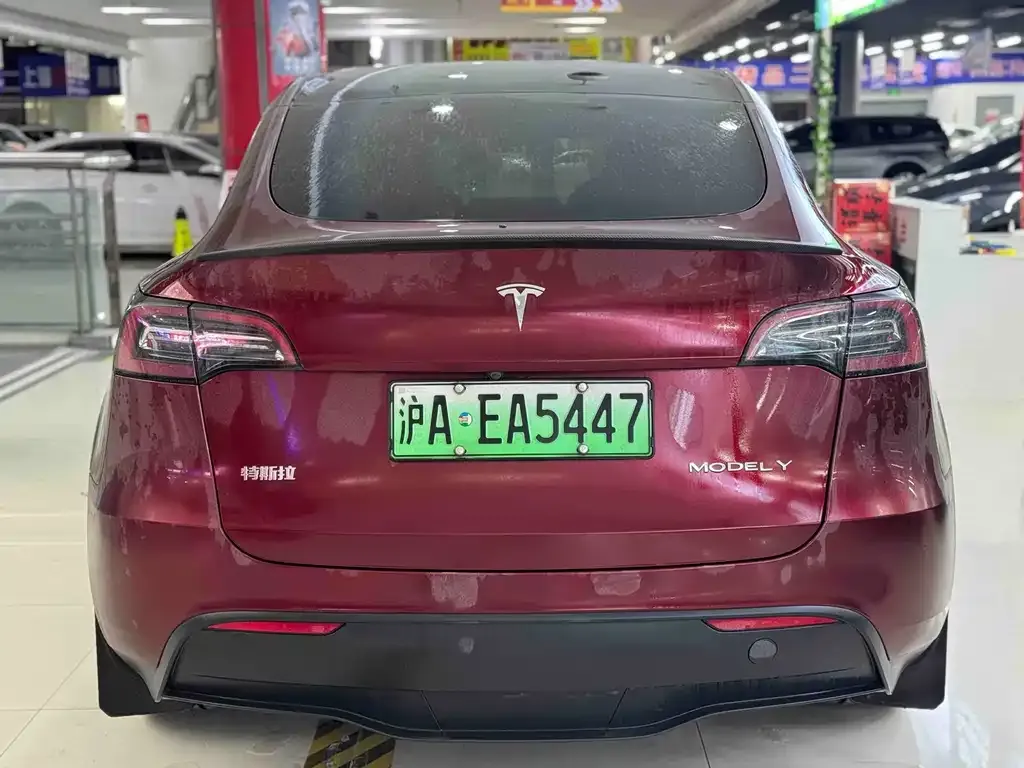 Tesla Model Y 2024 из CN, фото 9