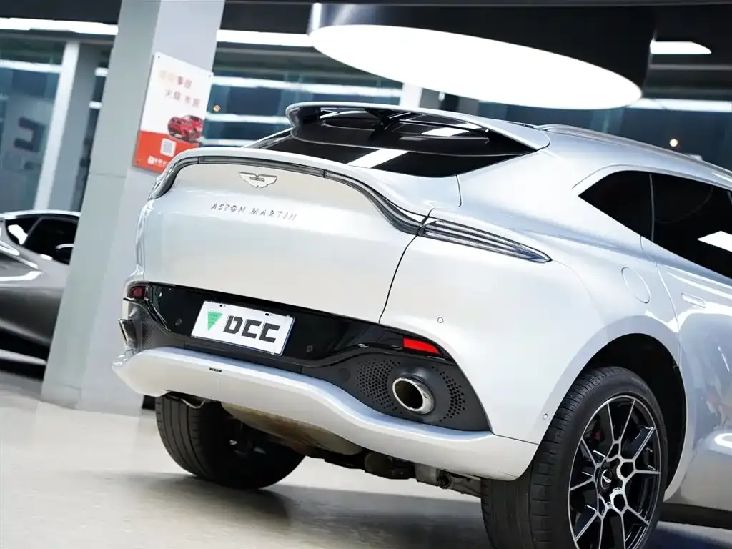 Aston Martin DBX 2022 из CN, фото 9