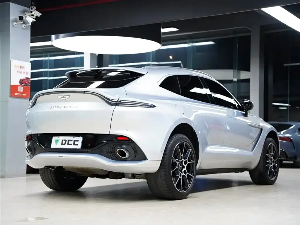 Aston Martin DBX 2022 из CN, фото 10