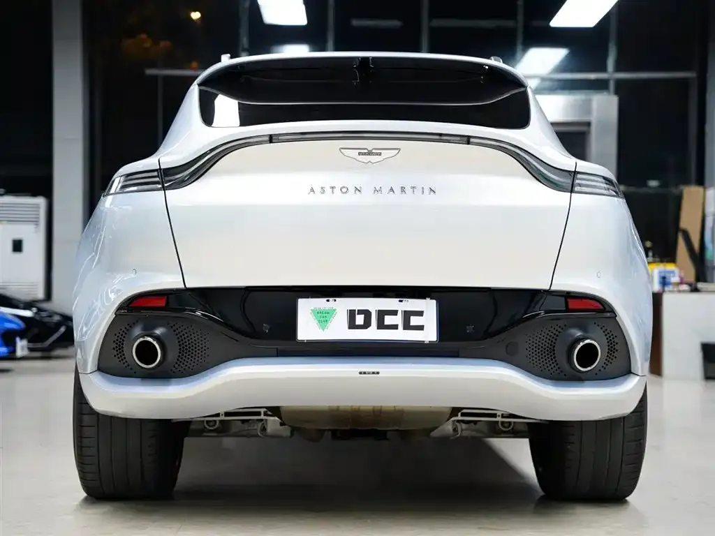 Aston Martin DBX 2022 из CN, фото 3