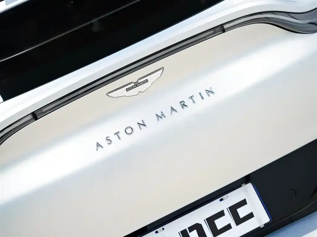 Aston Martin DBX 2022 из CN, фото 6