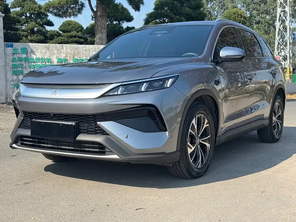 BYD Pro New Energy 2025 из CN, фото 1