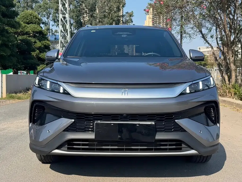 BYD Pro New Energy 2025 из CN, фото 10