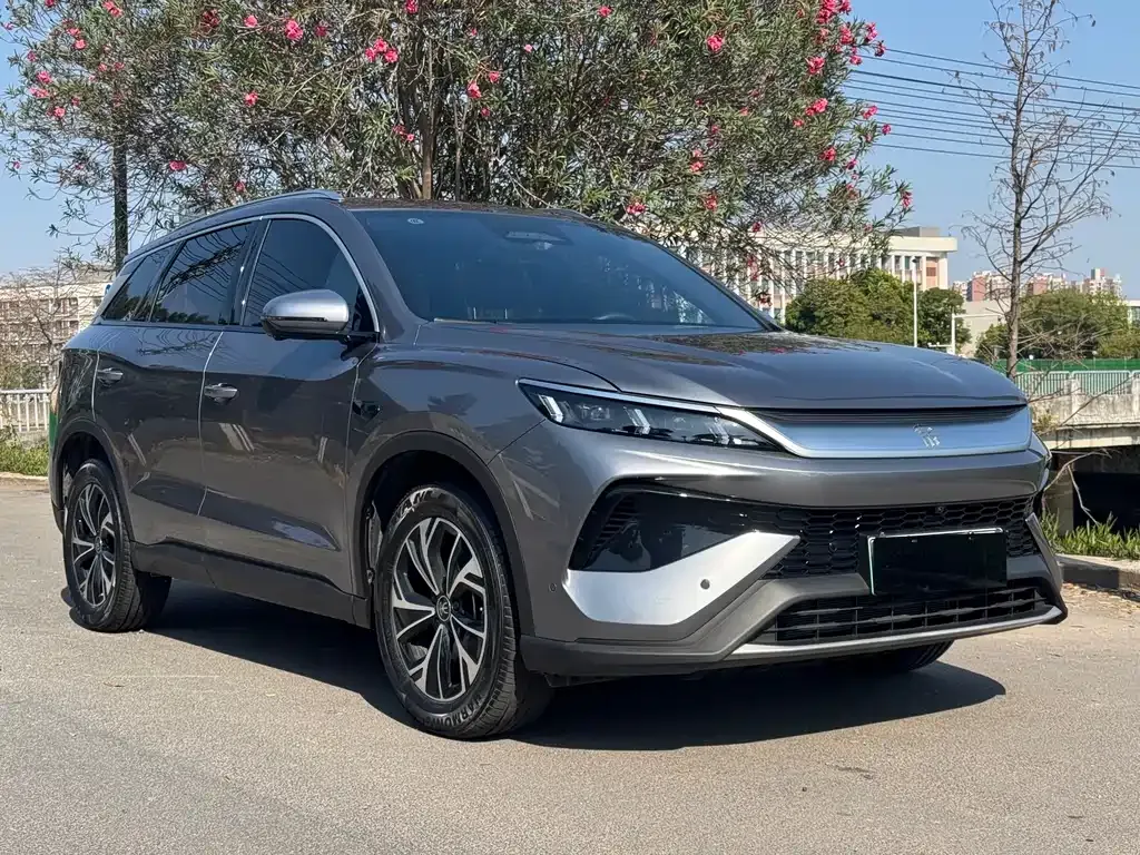 BYD Pro New Energy 2025 из CN, фото 7