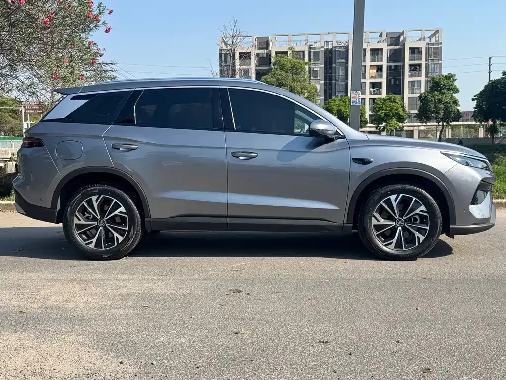 BYD Pro New Energy 2025 из CN, фото 6