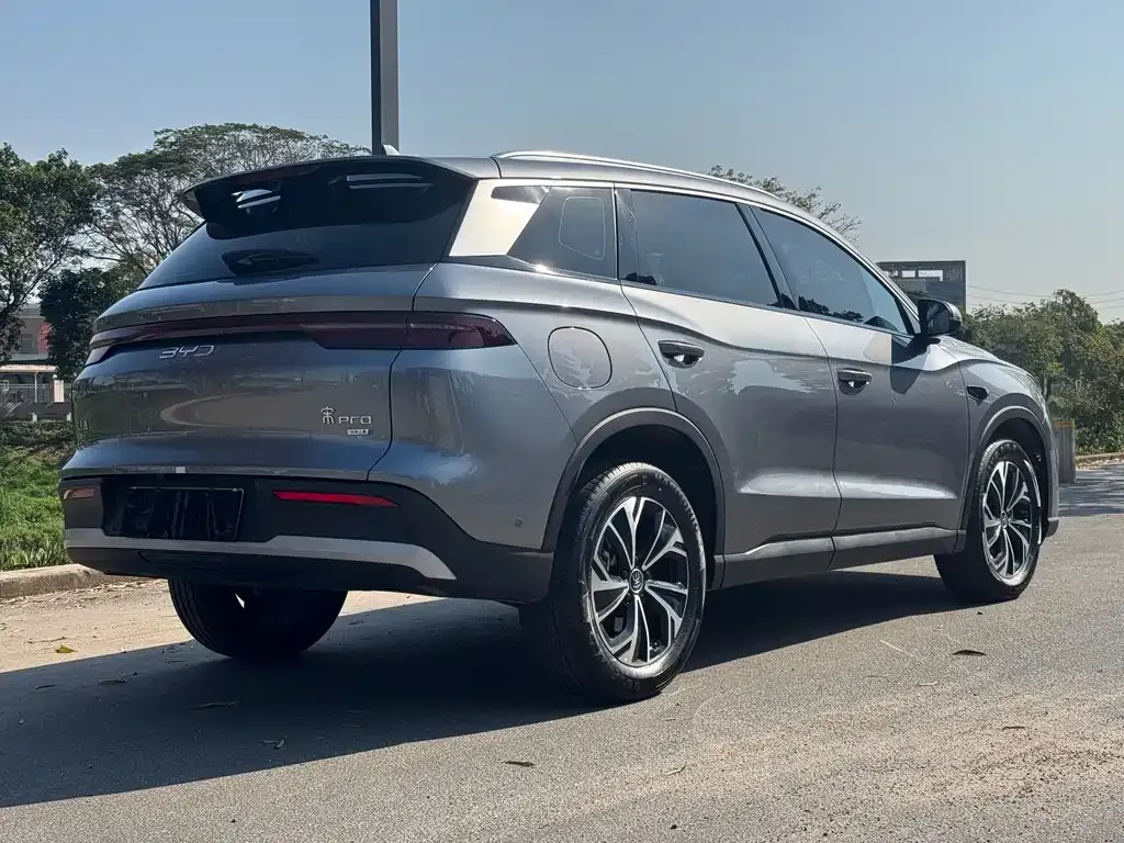 BYD Pro New Energy 2025 из CN, фото 9