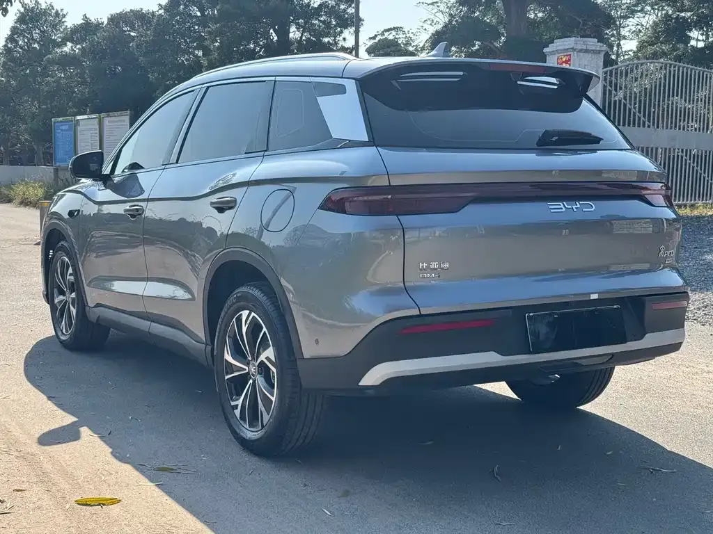 BYD Pro New Energy 2025 из CN, фото 3