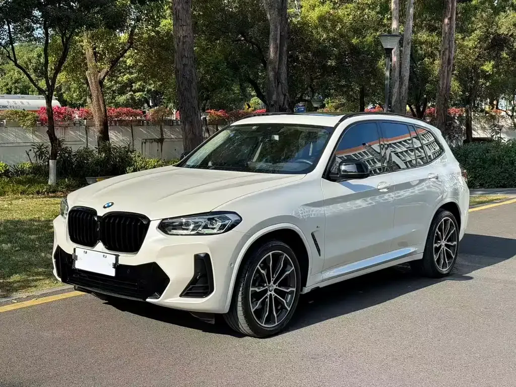 BMW X3 2022 из CN, фото 9