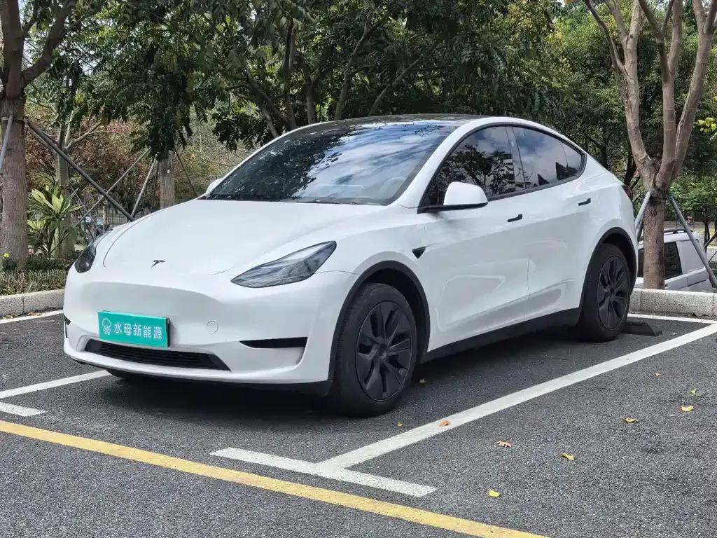 Tesla Model Y 2024 из CN, фото 1