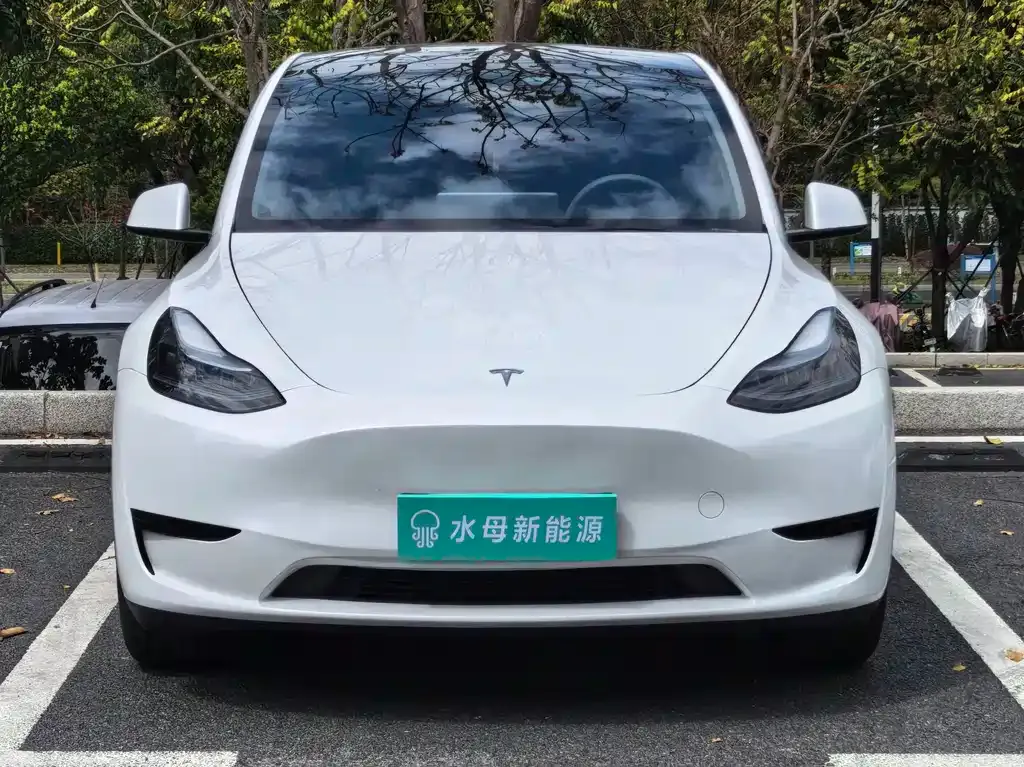 Tesla Model Y 2024 из CN, фото 4