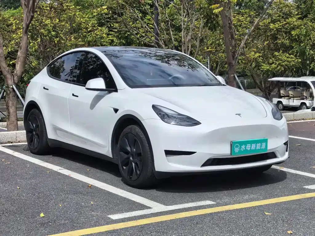 Tesla Model Y 2024 из CN, фото 8