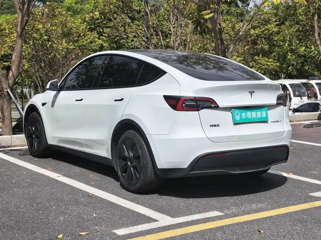 Tesla Model Y 2024 из CN, фото 6