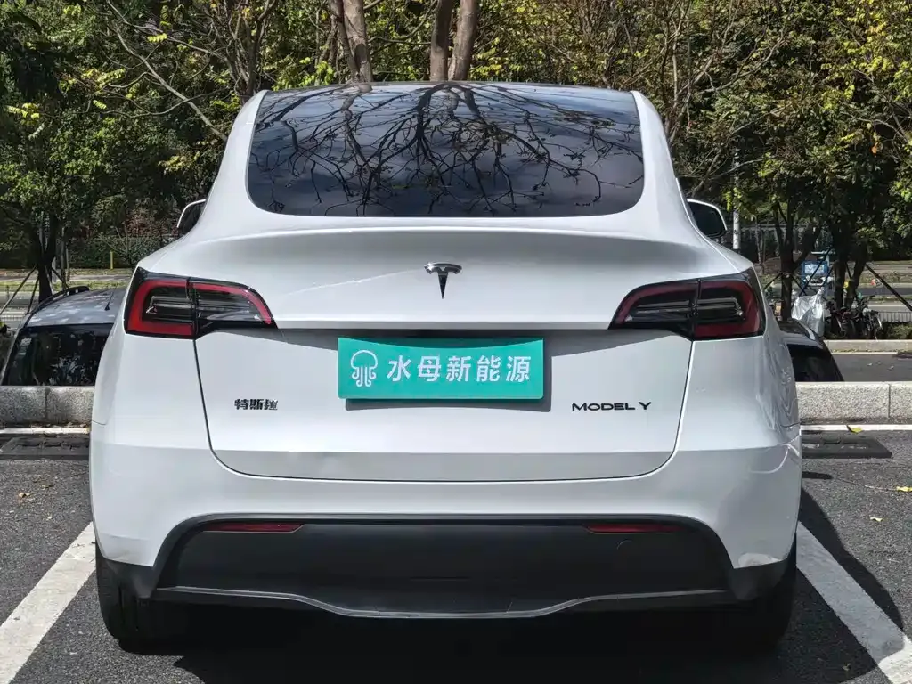 Tesla Model Y 2024 из CN, фото 5