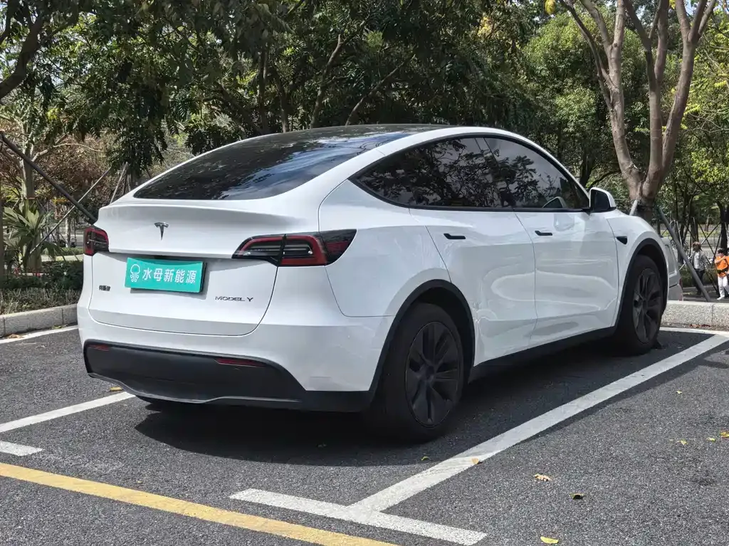 Tesla Model Y 2024 из CN, фото 9