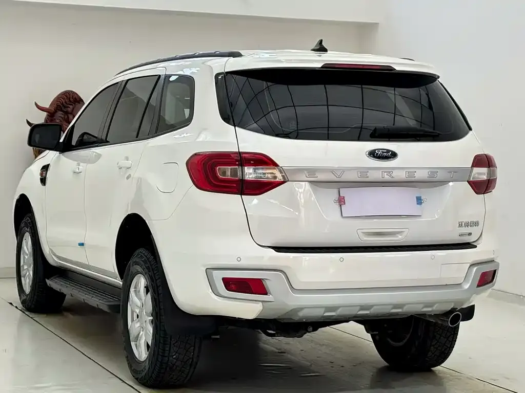 Ford Everest 2021 из CN, фото 6
