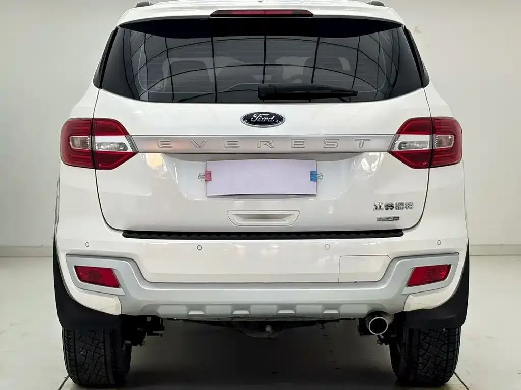 Ford Everest 2021 из CN, фото 4