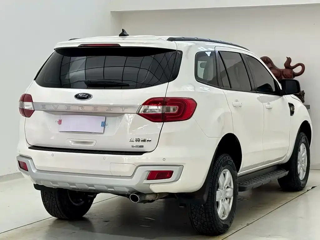 Ford Everest 2021 из CN, фото 2