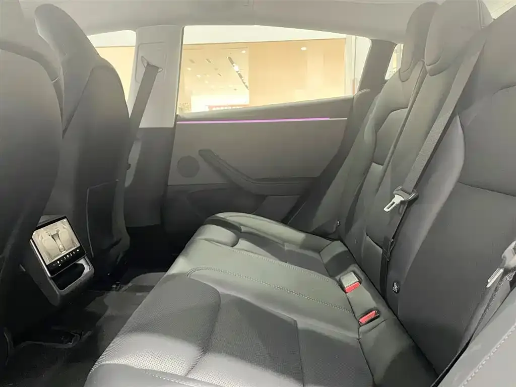 Tesla Model 3 2023 из CN, фото 10