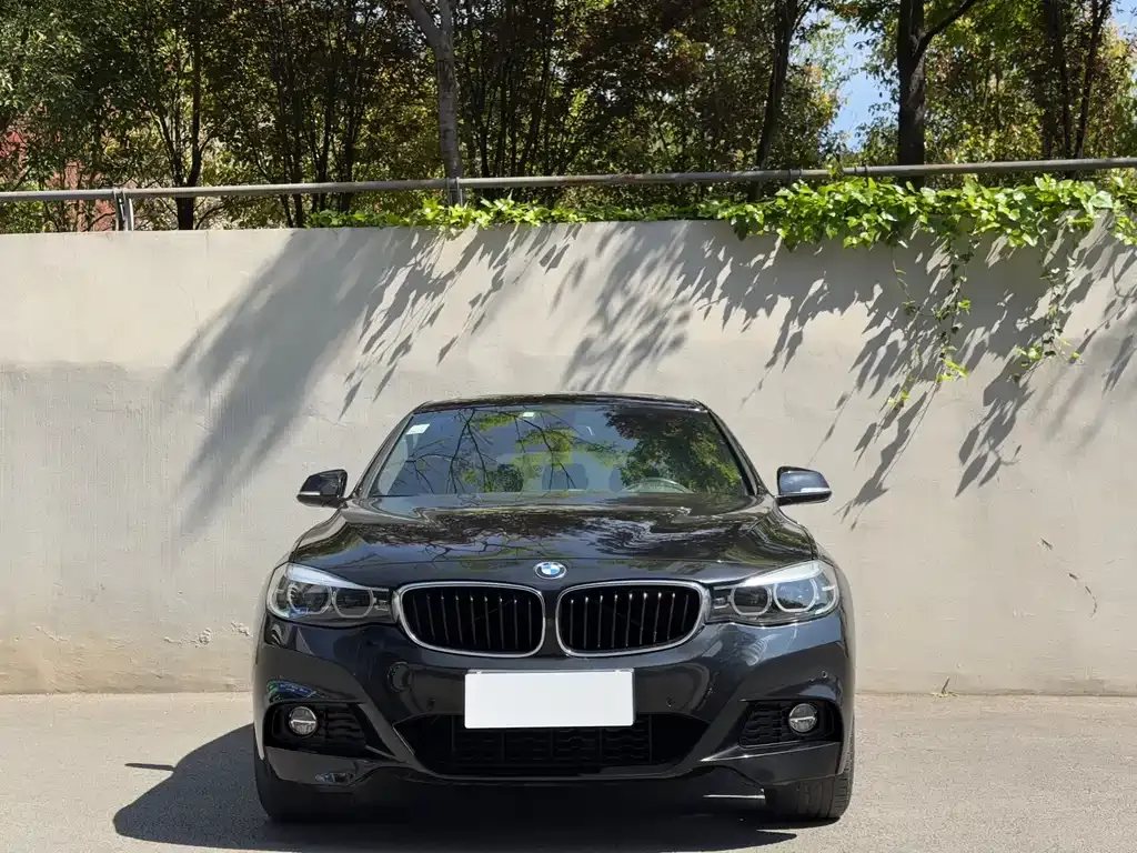BMW 3 Series GT 2021 из CN, фото 3