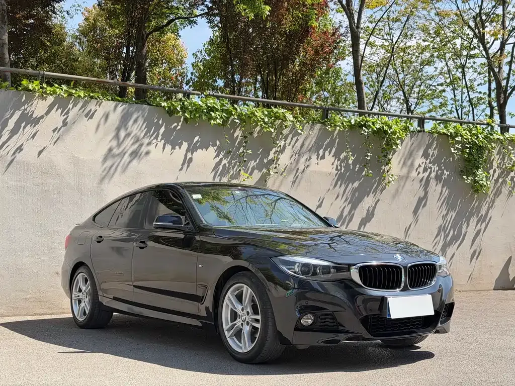 BMW 3 Series GT 2021 из CN, фото 5
