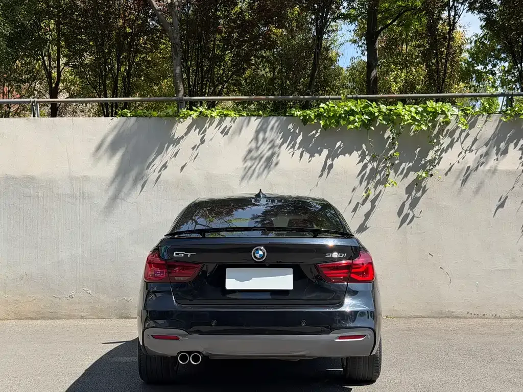 BMW 3 Series GT 2021 из CN, фото 9