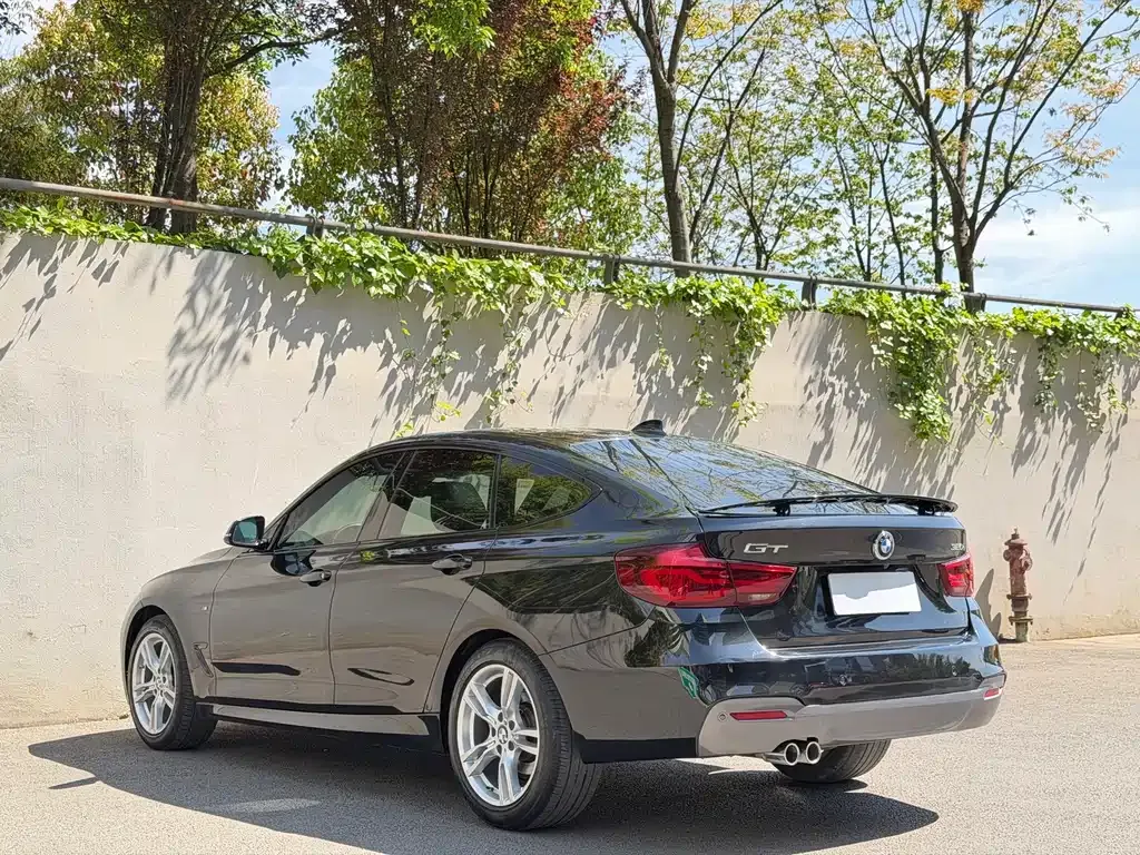 BMW 3 Series GT 2021 из CN, фото 6