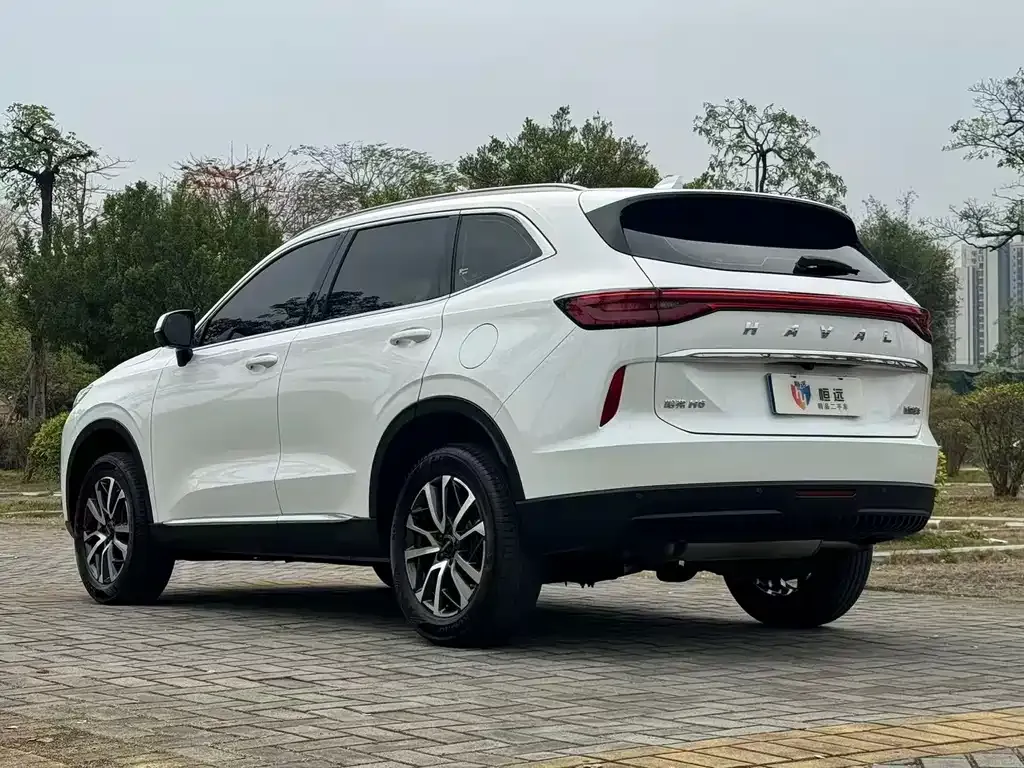 Haval H6 2023 из CN, фото 10