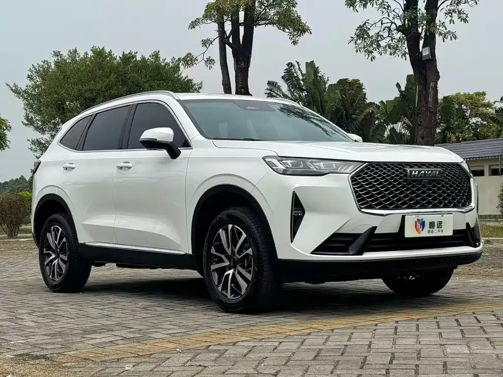 Haval H6 2023 из CN, фото 3