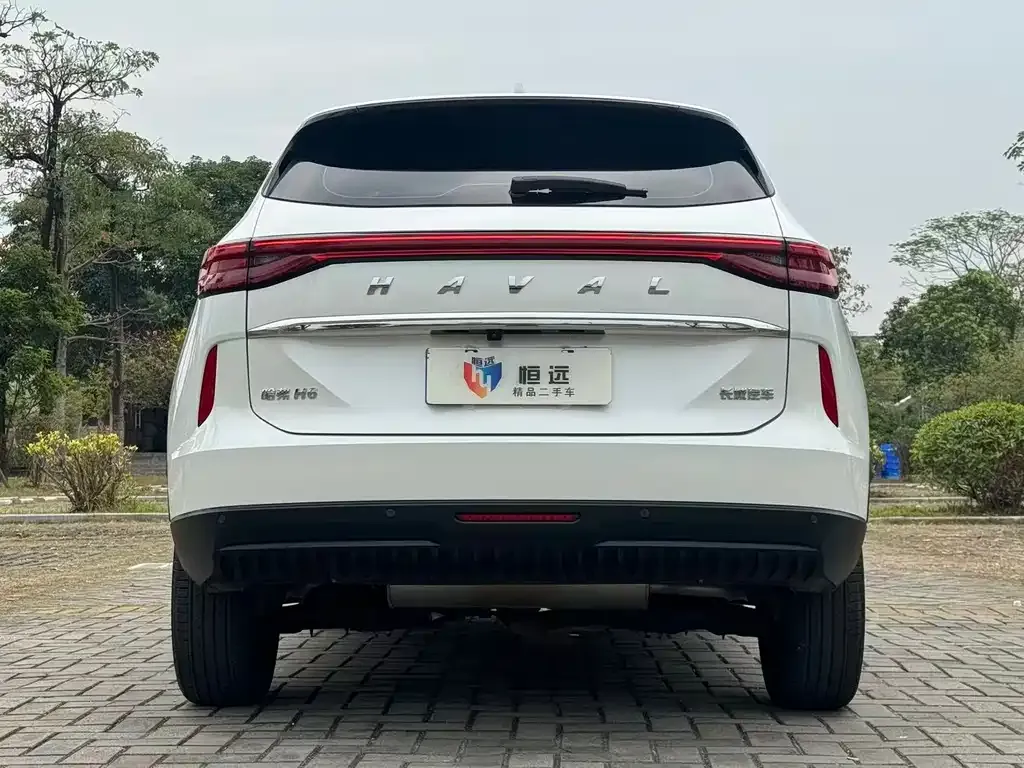 Haval H6 2023 из CN, фото 4