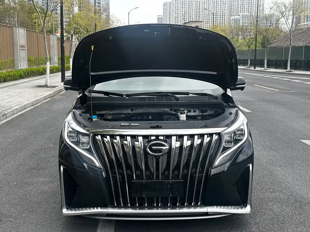 GAC Motor Trumpchi M8 2022 из CN, фото 3