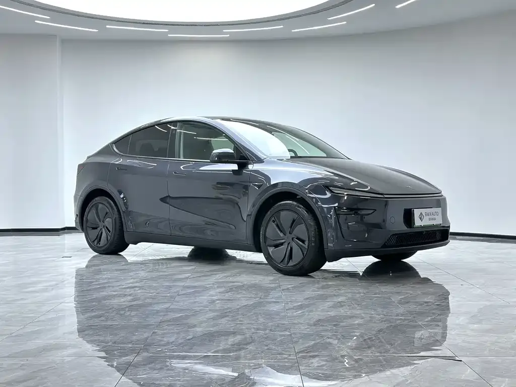 Tesla Model Y — фото 7